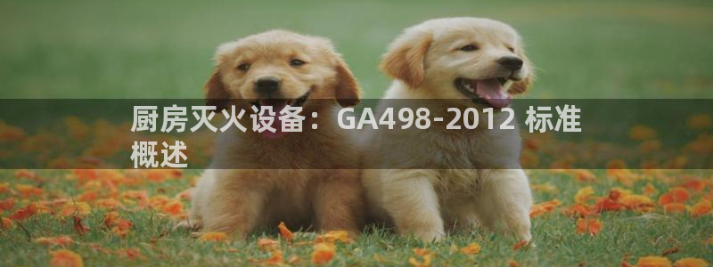 尊龙官网国际：厨房灭火设备：GA498-2012 标准
概述