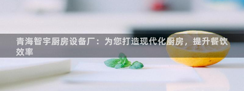 尊龙app登录不了：青海智宇厨房设备厂：为您打造现代化厨房，