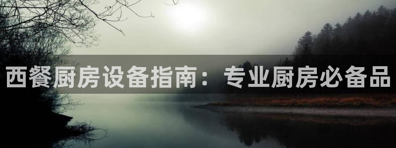 尊龙网址苹果版下载：西餐厨房设备指南：专业厨房必备品