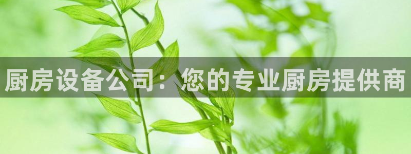 kb88凯时SO权威AG发财网